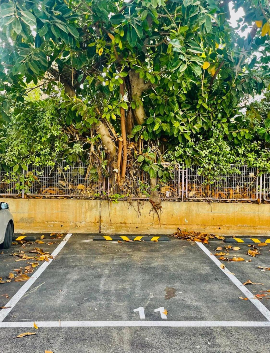 High-End Apartment , With A Private Parking And An Elavator 特拉维夫 外观 照片